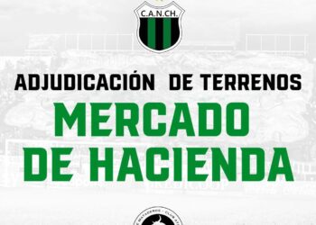 ADJUDICACI&Oacute;N DE TERRENOS: MERCADO DE HACIENDA